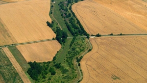 22-vilayette-ekolojik-koridor-olusturulacak-kTyV4KOt.jpg