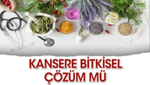 aci-ot-bitkisi-kansere-deva-mi-EMdsaI5k.jpg