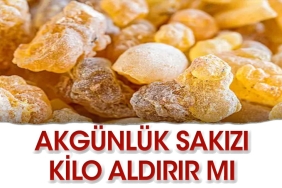 akgunluk-sakizi-kilo-aldirir-mi-7xD59UxG.jpg