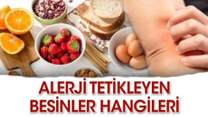alerji-tetikleyen-besinler-hangileri-7FFQB1TU.jpg