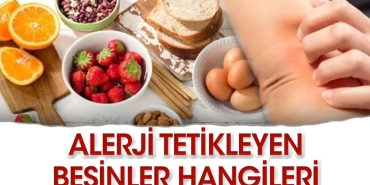 alerji-tetikleyen-besinler-hangileri-7FFQB1TU.jpg