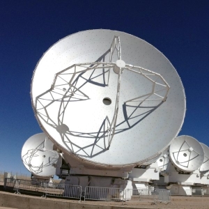 alma-nedir-7gbbtKTr.jpg