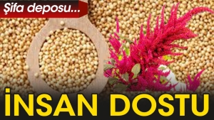 amaranth-nedir-faydalari-nelerdir-z5BR9jUH.jpg