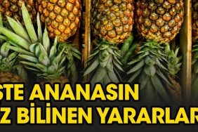 ananas-sindirime-guzel-gelir-mi-TDW5YOC5.jpg