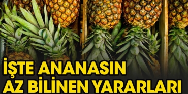ananas-sindirime-guzel-gelir-mi-TDW5YOC5.jpg