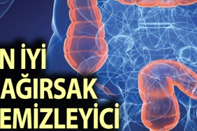 bagirsaklari-aninda-temizleyen-besinler-hangileri-ZU8Jlytc.jpg