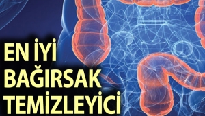 bagirsaklari-aninda-temizleyen-besinler-hangileri-ZU8Jlytc.jpg