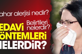 bahar-alerjisi-nedir-belirtileri-nelerdir-tedavi-yollari-nelerdir-qZZWJ9Wg.jpg