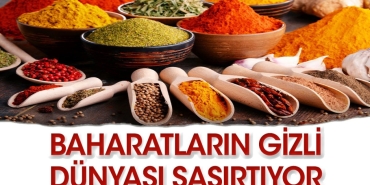 baharatlarin-gizemli-dunyasi-Y2mO7Q74.jpg