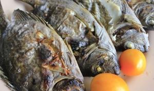 baligi-kizartmak-omega-3leri-yok-ediyor-krzp7HFv.jpg