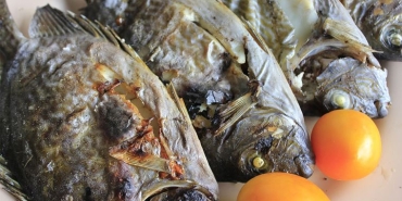 baligi-kizartmak-omega-3leri-yok-ediyor-krzp7HFv.jpg