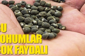bamya-tohumunun-cok-az-bilinen-faydalari-rasagsne.jpg