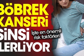 bobrek-kanseri-sinsi-ilerliyor-iste-en-degerli-risk-faktorleri-mNMtxJRm.jpg