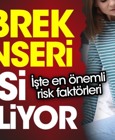 bobrek-kanseri-sinsi-ilerliyor-iste-en-degerli-risk-faktorleri-mNMtxJRm.jpg