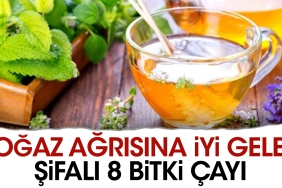 bogaz-agrisina-guzel-gelen-sifali-8-bitki-cayi-jACgNIvh.jpg