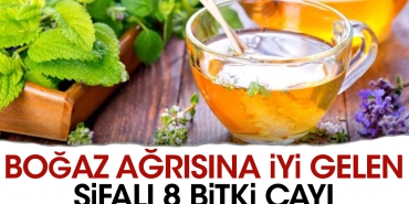 bogaz-agrisina-guzel-gelen-sifali-8-bitki-cayi-jACgNIvh.jpg