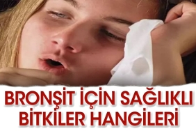 bronsite-yeterli-gelen-bitkiler-hangileri-Py4OcRLw.jpg