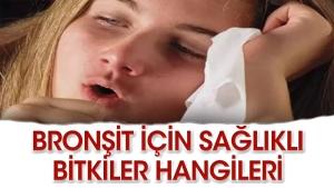 bronsite-yeterli-gelen-bitkiler-hangileri-Py4OcRLw.jpg