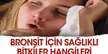 bronsite-yeterli-gelen-bitkiler-hangileri-Py4OcRLw.jpg