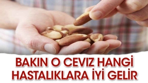 bu-ceviz-bildiginiz-cevizlere-benzemiyor-sRRePCYr.jpg
