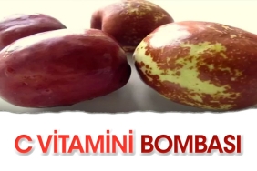 c-vitamini-bombasi-lNfzmbzU.jpg