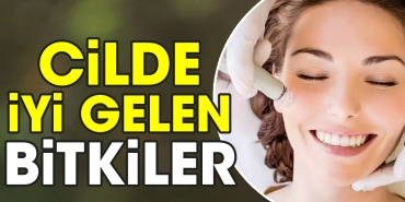 cilde-guzel-gelen-bitkiler-UB3xE7n4.jpg