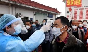 cinde-ortaya-cikan-hantavirus-nedir-semptomlari-nelerdir-JmqENb3X.jpg