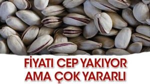 cok-degerli-lakin-sifa-deposu-pGfjU9eM.jpg