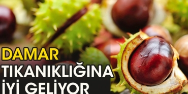 damar-tikanikligina-l-gelen-bir-besin-7hrECRys.jpg