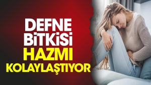 defne-bitkisi-hazmi-kolaylastiyor-a69nrDH7.jpg