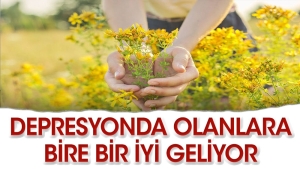 depresyona-birebir-sari-kantaron-bitkisi-gQZX6EXt.jpg
