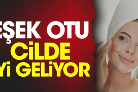 esek-otu-cilde-yeterli-geliyor-pH8wHMmp.jpg