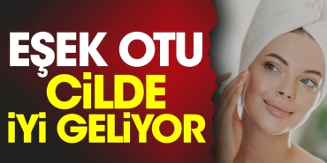 esek-otu-cilde-yeterli-geliyor-pH8wHMmp.jpg