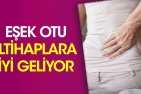 esek-otu-iltihaplara-guzel-geliyor-mkweC45U.jpg