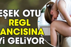 esek-otu-regl-sancisina-l-geliyor-g9vEC7le.jpg
