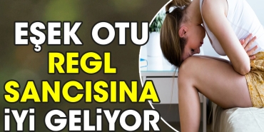 esek-otu-regl-sancisina-l-geliyor-g9vEC7le.jpg