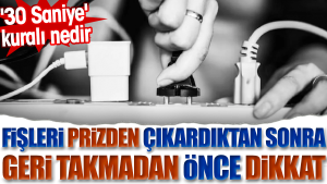 fisleri-prizden-cikardiktan-sonra-geri-takmadan-evvel-dikkat-30-saniye-kurali-nedir-df7JSBpJ.jpg