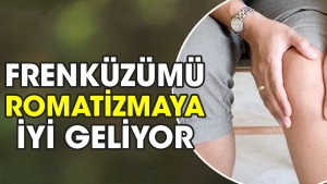 frenkuzumu-romatizmaya-uygun-geliyor-sppvOUrQ.jpg