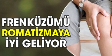 frenkuzumu-romatizmaya-uygun-geliyor-sppvOUrQ.jpg
