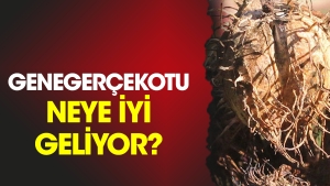 genegercekotu-neye-uygun-geliyor-D7rXEXN5.jpg