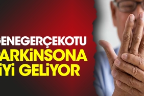 genegercekotu-parkinsona-uygun-geliyor-qzLnvljk.jpg