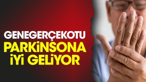 genegercekotu-parkinsona-uygun-geliyor-qzLnvljk.jpg