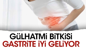 gulhatmi-bitkisi-gastrite-guzel-geliyor-56XsJ1t2.jpg