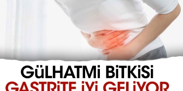 gulhatmi-bitkisi-gastrite-guzel-geliyor-56XsJ1t2.jpg