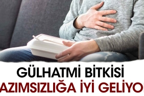 gulhatmi-bitkisi-hazimsizliga-duzgun-geliyor-BzMP5q2g.jpg