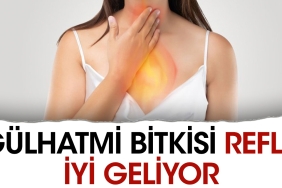 gulhatmi-bitkisi-reflu-duzgun-geliyor-ypp8T3en.jpg
