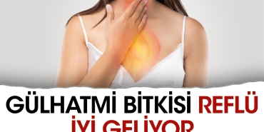 gulhatmi-bitkisi-reflu-duzgun-geliyor-ypp8T3en.jpg