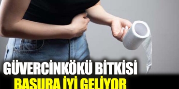 guvercinkoku-bitkisi-basura-uygun-geliyor-LjavCTIu.jpg