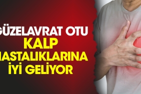 guzelavrat-otu-kalp-hastaliklarina-yeterli-geliyor-IVY3CjnC.jpg