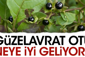 guzelavrat-otu-neye-l-geliyor-lZGIB8sW.jpg